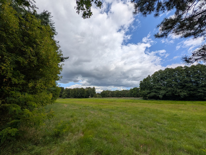 ... als das Pixel 10 Pro XL. (Bild: Tobias Költzsch/Golem)